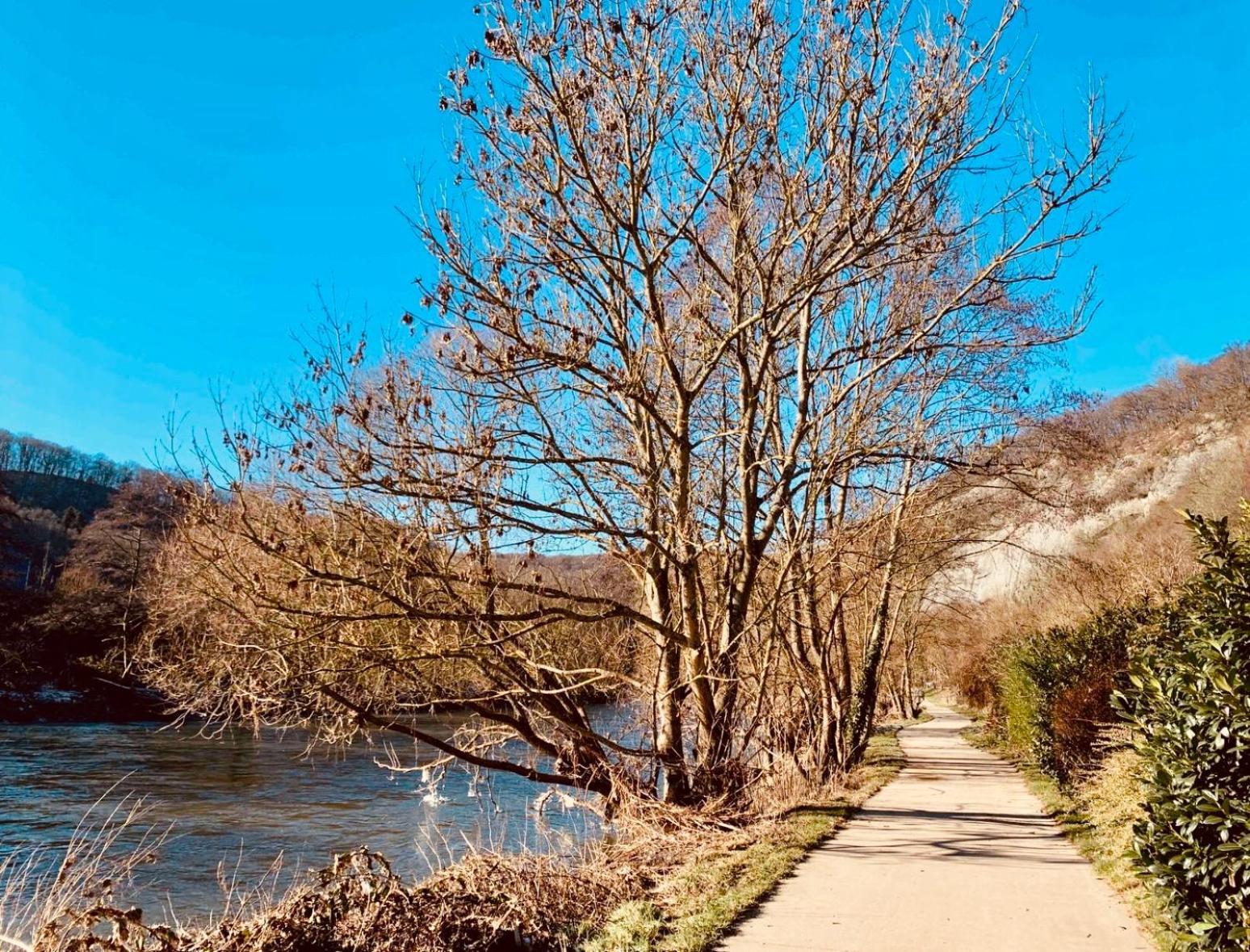 Oboho - Le Gite Boheme Esneux Dış mekan fotoğraf